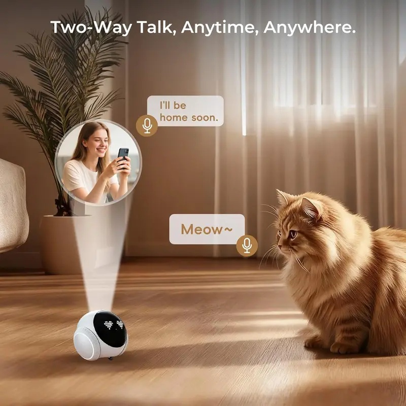 Bewegliche Indoor-Haustier-Rob – Smart Home Video Bewertung und Preis