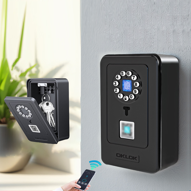 Intelligentes Vorhängeschloss  – Smart Home Door Lock Bewertung und Preis